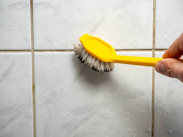 Best Mold Removal Near Me  in Valley Mills, TX